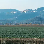 Il Cuscino Nel Pagliaio * Campiglia Marittima