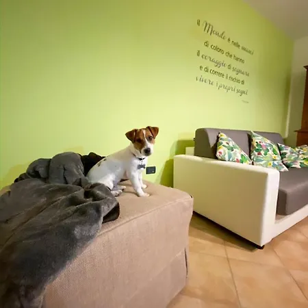 Il Cuscino Nel Pagliaio * Campiglia Marittima