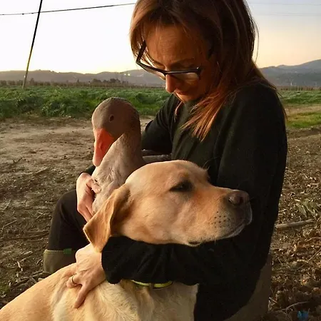 Farma Il Cuscino Nel Pagliaio *