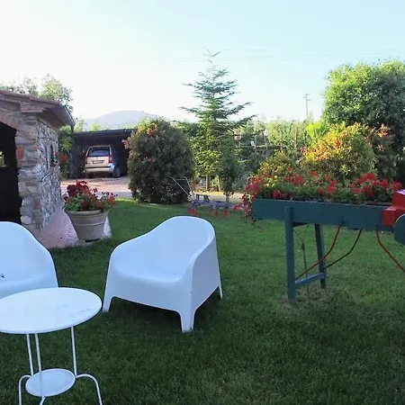 Il Cuscino Nel Pagliaio Campiglia Marittima