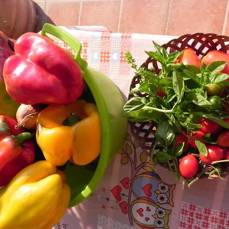 Farma Il Cuscino Nel Pagliaio *