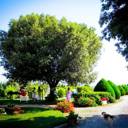 Il Cuscino Nel Pagliaio Farma Campiglia Marittima