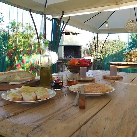 Il Cuscino Nel Pagliaio Farma *