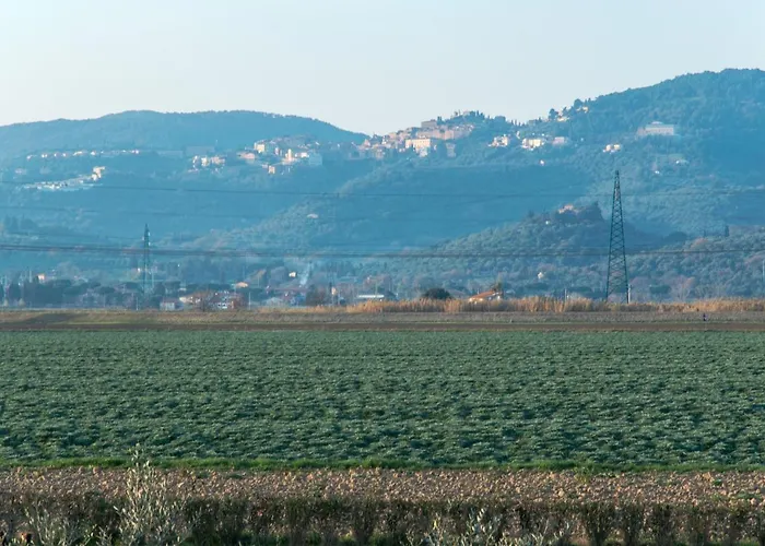 Il Cuscino Nel Pagliaio * Campiglia Marittima