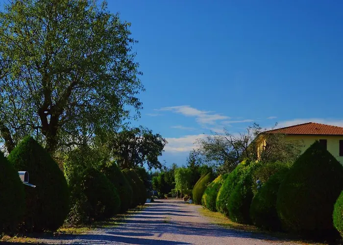 Il Cuscino Nel Pagliaio Farma Campiglia Marittima