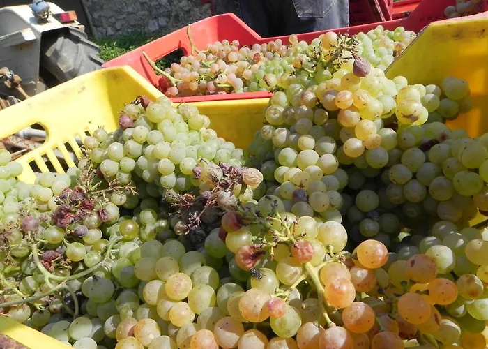 Farma Il Cuscino Nel Pagliaio