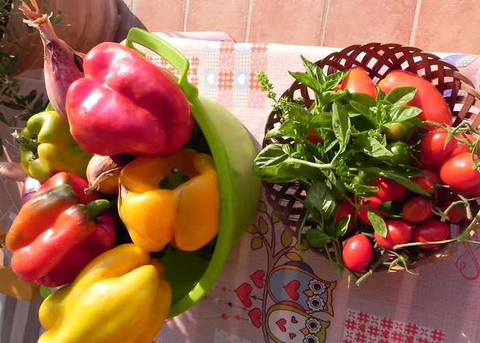 Farma Il Cuscino Nel Pagliaio *