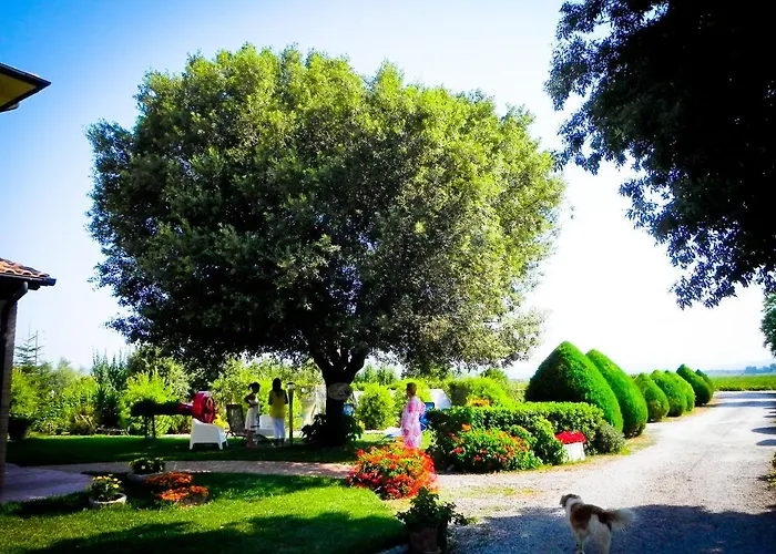 Il Cuscino Nel Pagliaio Farma Campiglia Marittima