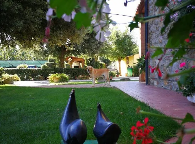 Farma Il Cuscino Nel Pagliaio Campiglia Marittima